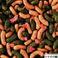 1日あたりうさぎが食べるペレットの量の計算。食べないときの原因と対処法