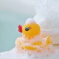 うさぎをお風呂に入れていい3つのケースとお風呂の入れ方