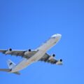 引っ越すときに役立つうさぎの飛行機の乗せ方。料金や危険度について